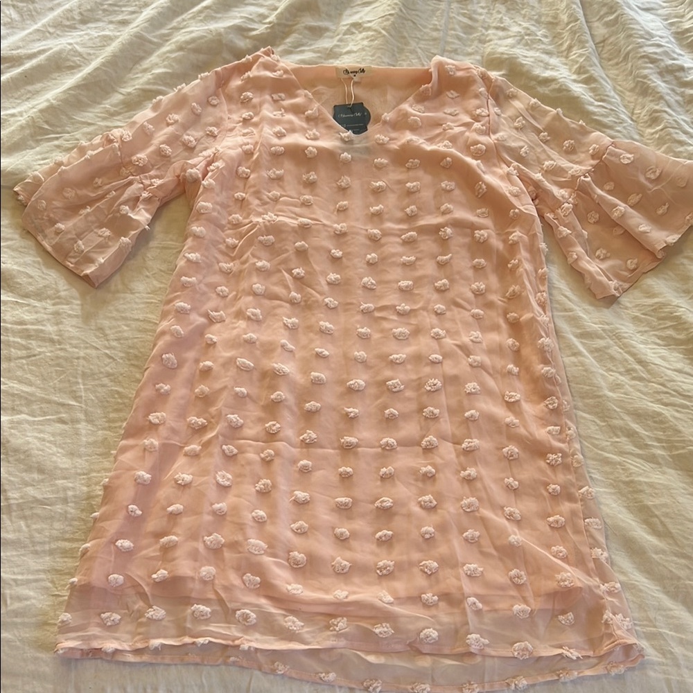 Pink Sheer Swiss Dot Dress
